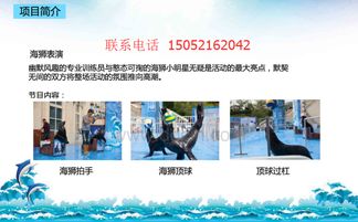 海洋奇遇记 海狮表演公关活动策划方案